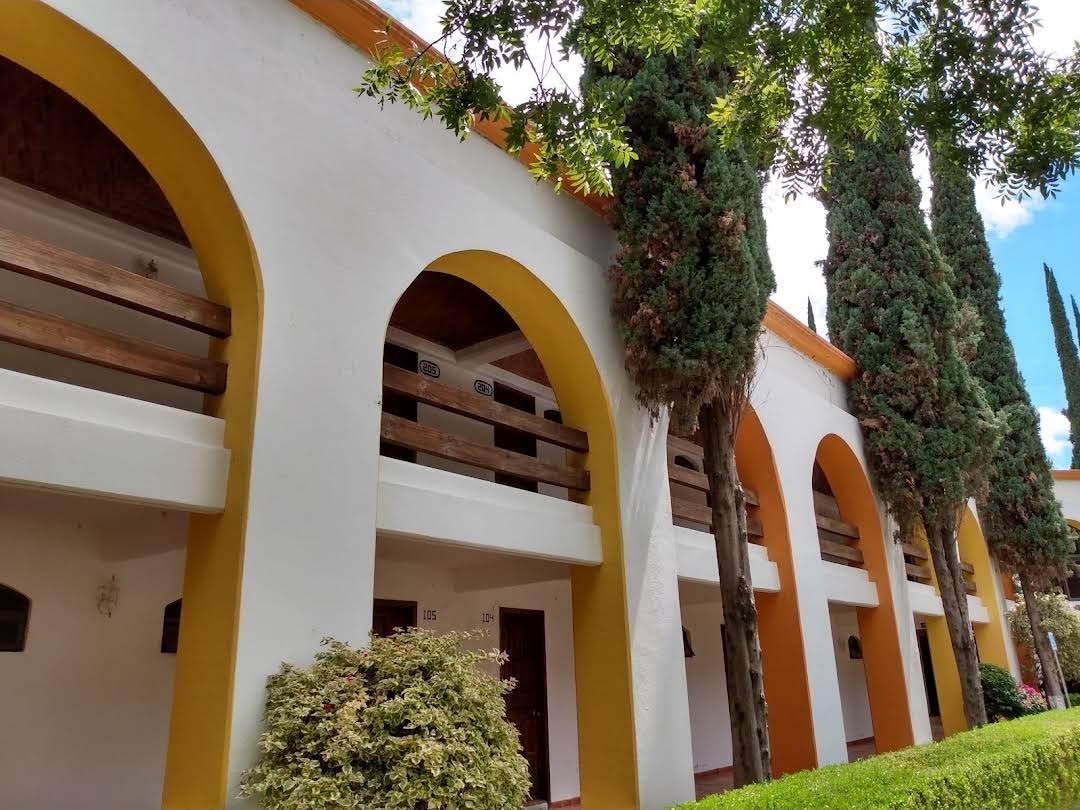 Pasillo de habitaciones con arcos amarillos y cipreses